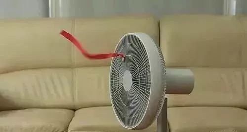 缺1克它竟会猝死……三伏天里，这件要命的事千万别再做了！