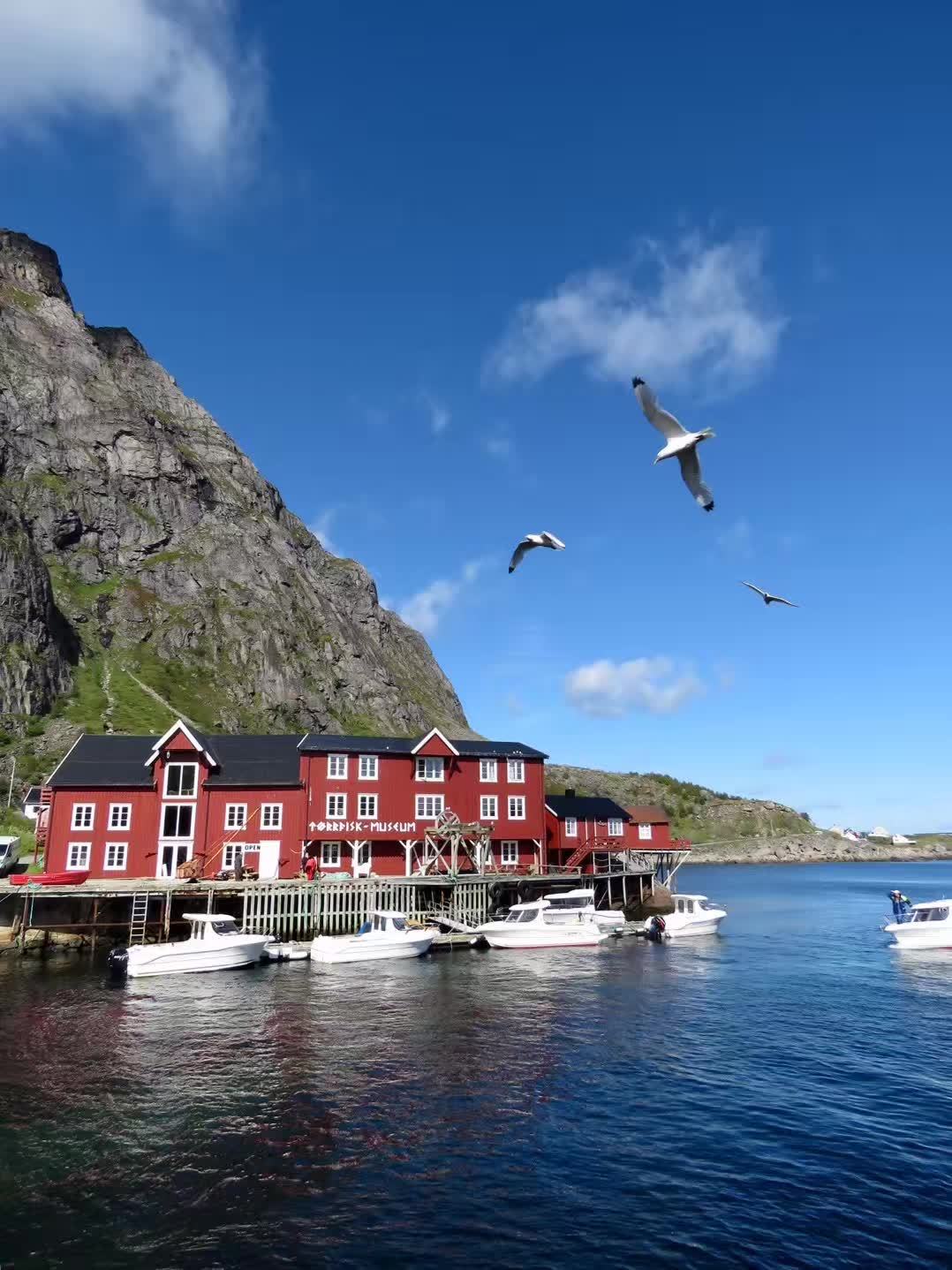 相片背后的光｜我与儿子的约定—《下篇》