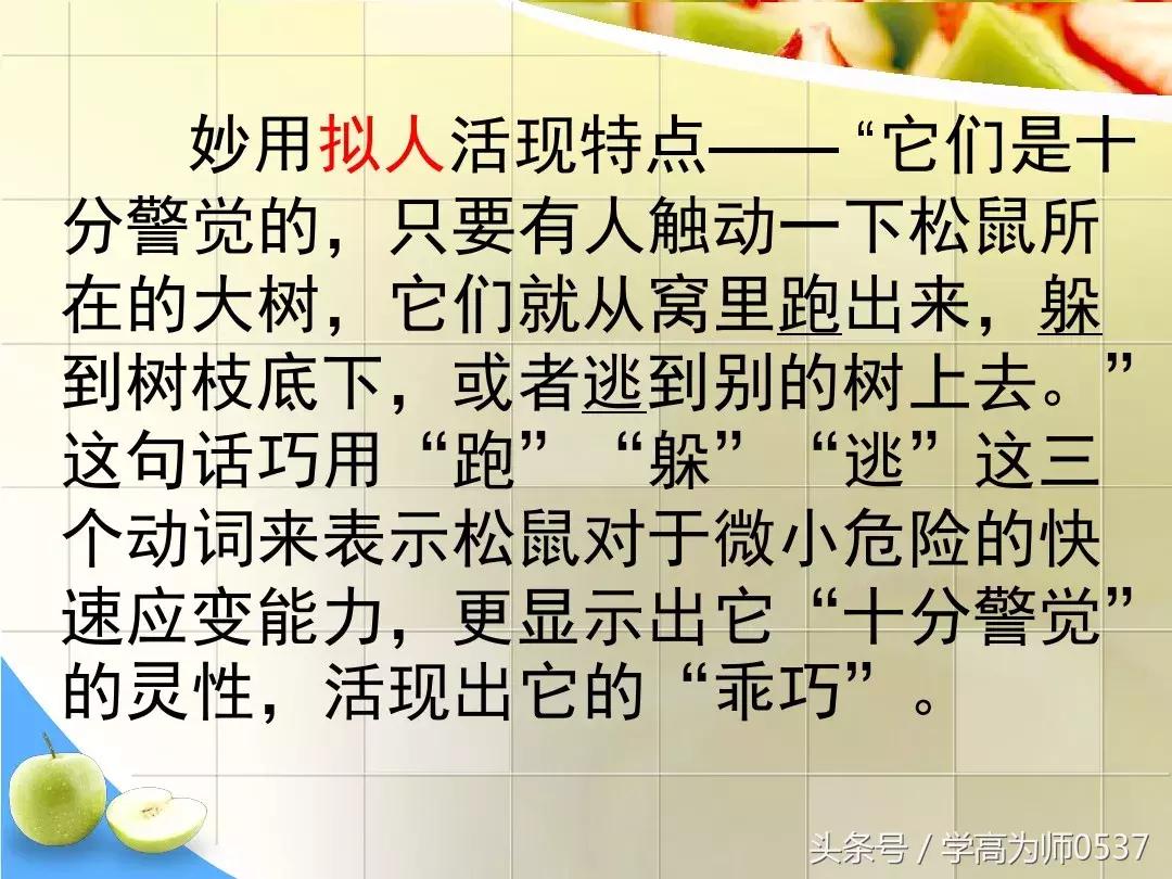 我最喜欢的一件物品五年级作文,五年级上册介绍一件物品作文