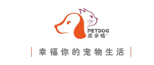 到底是什么让他开了一家派多格宠物店，还想再开一家？