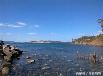 声母d和韵母o的拼读顺口溜,声母和韵母相拼顺口溜歌谣