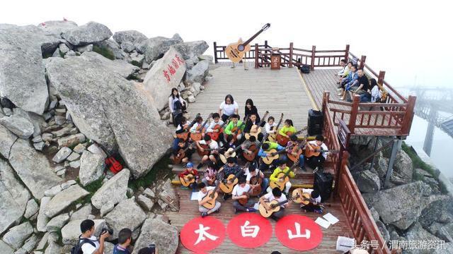 吉他弦动秦岭之巅太白山森林音乐会成功举办