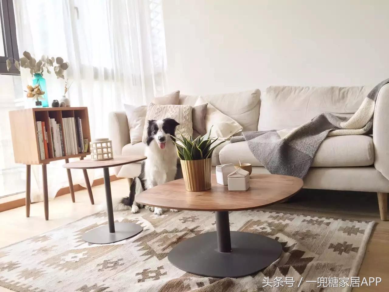 断舍离老公，遇上囤物癖老婆，装出这么正宗的日式小家要掐架吧！