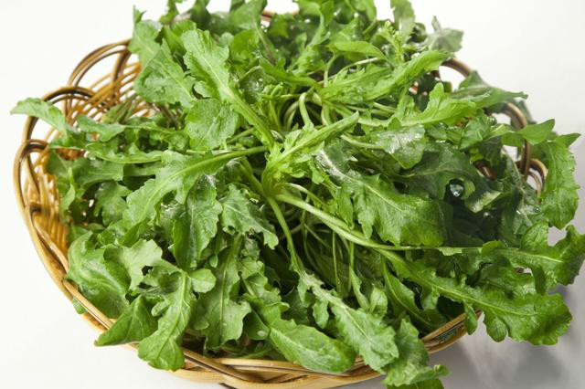 十大能食用的野菜,夏天的野菜有哪些