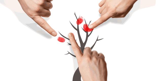 太阳能照亮整个宇宙吗,太阳能吸收地球什么能源