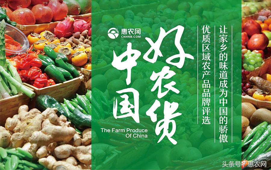 互联网在农业中的未来发展与启发,农业互联网的十种模式