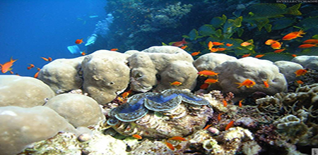 跟as……as相关的习语：asbusyasabee；ashappyasalark等