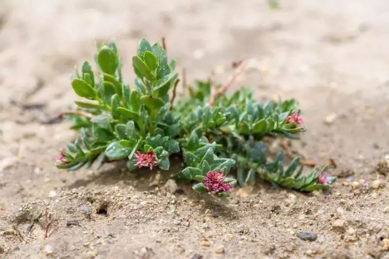又是一个加班的夜晚放松一下心情,又是一个加班的周末