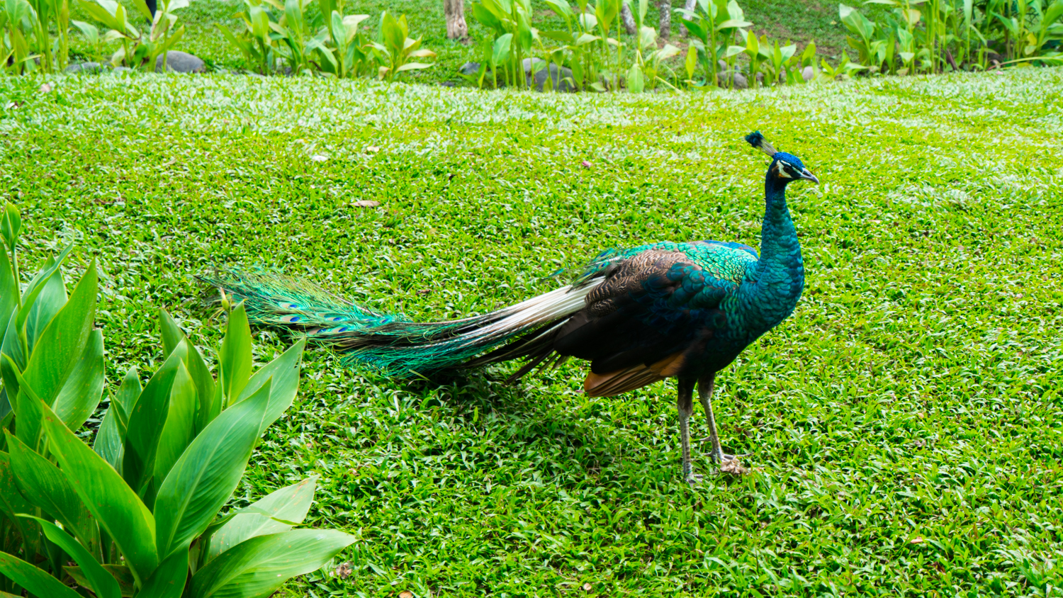 巴厘岛吃喝攻略,巴厘岛闺蜜