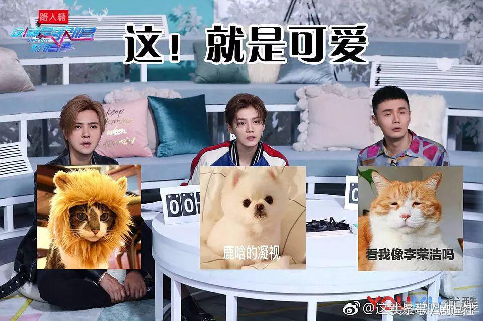 非诚勿扰鹿晗,罗志祥鹿晗李荣浩泰勒