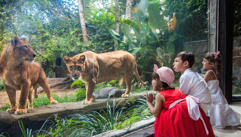 去巴厘岛跟团好不好,巴厘岛跟团游最佳攻略