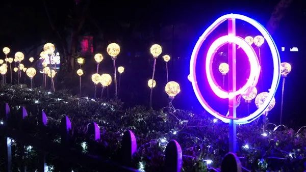 摩天轮夜场,摩天轮夜场门票19.9