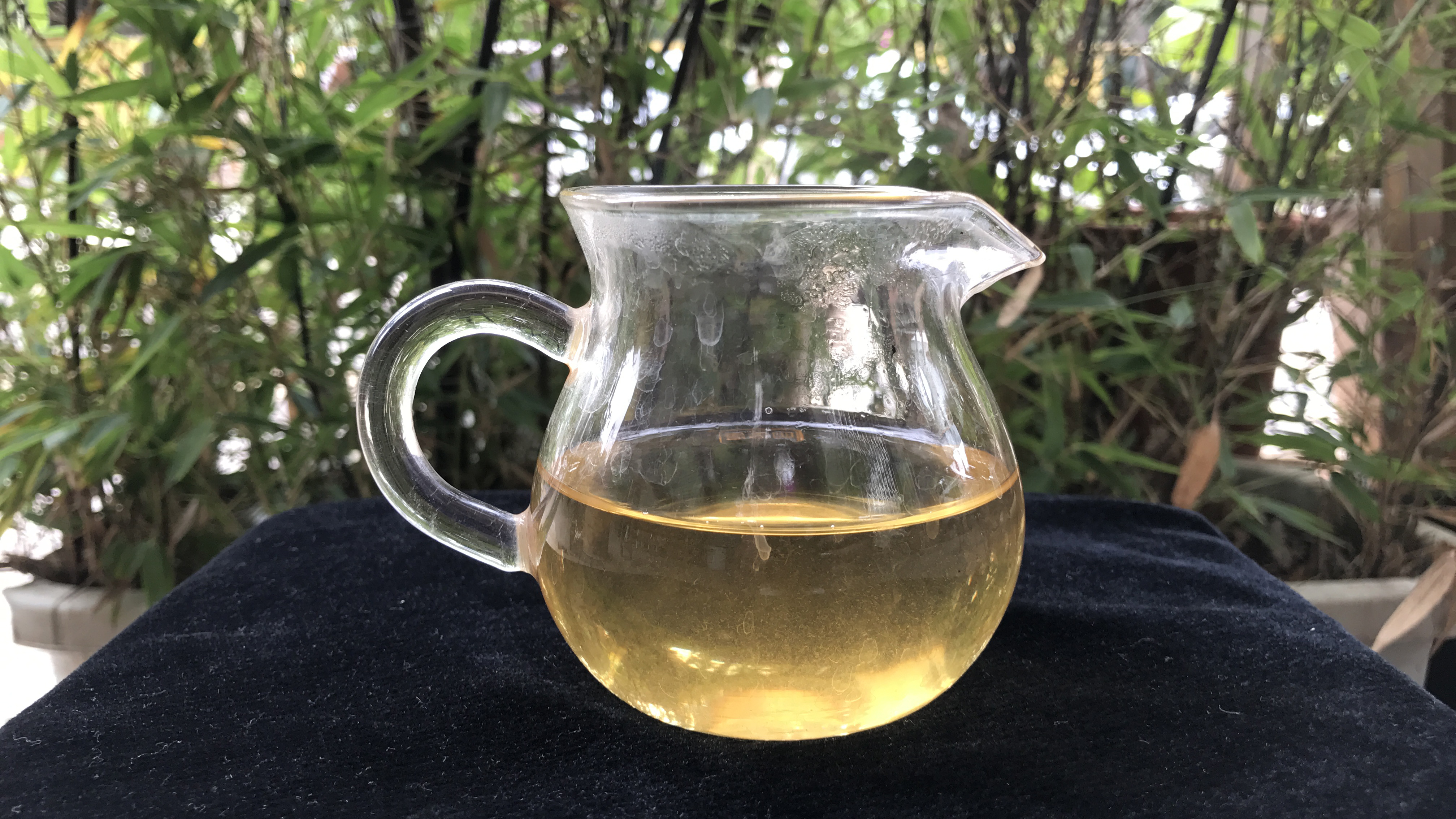 老徐鉴茶第173期,老徐鉴茶252期