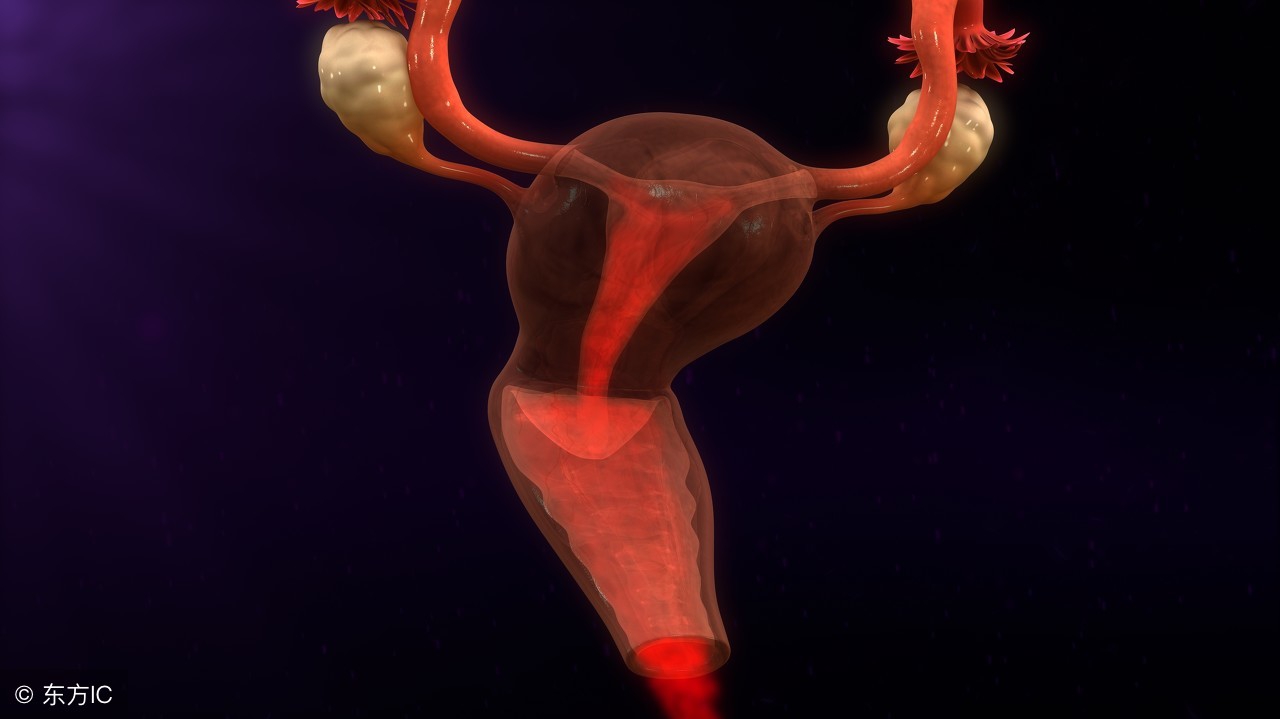 宫颈息肉有原因，这三个检查项目需要做