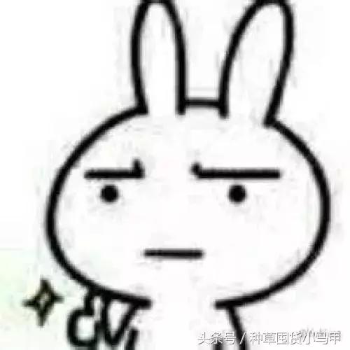 10块钱名创优品能买什么文具,10块钱以内的名创优品好物