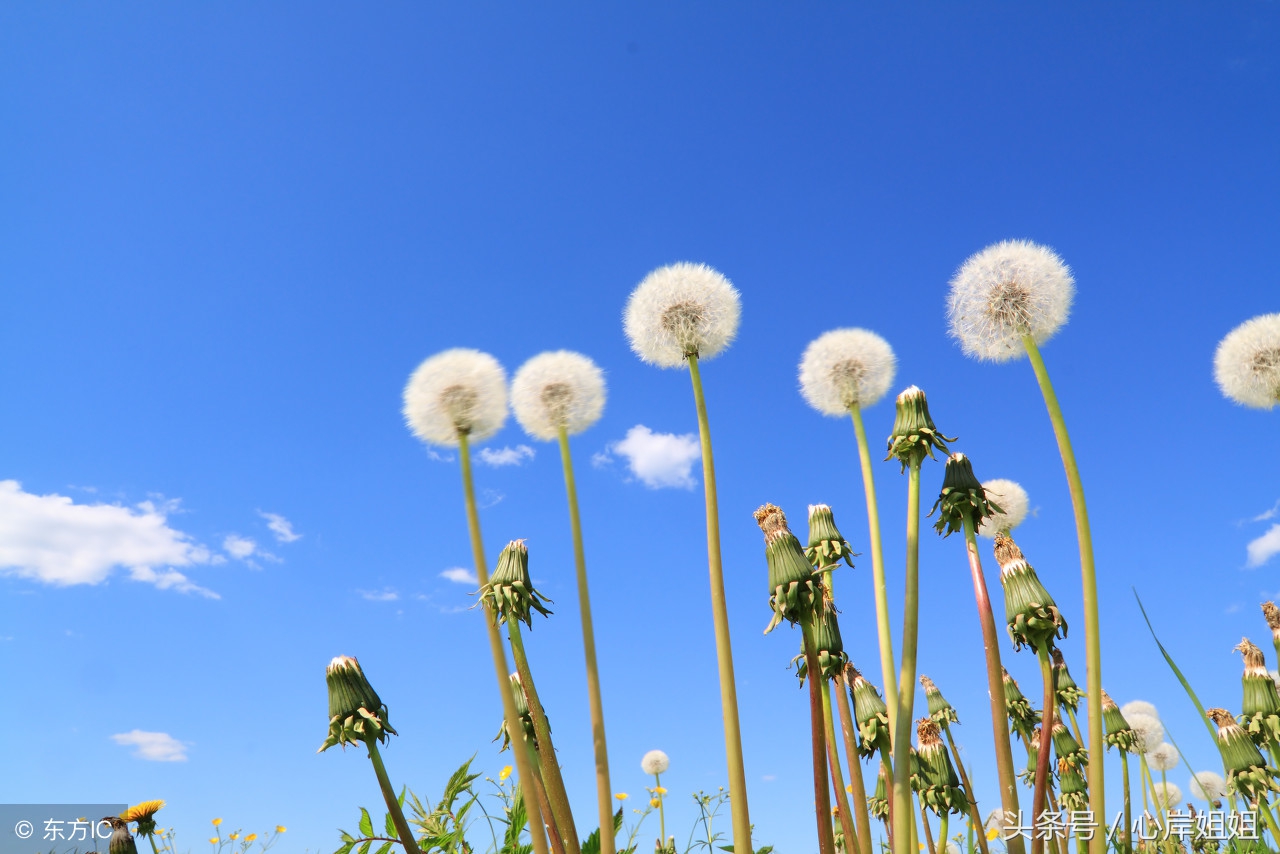 心慌胸闷气短就找它来缓解,一招解决心慌胸闷出虚汗