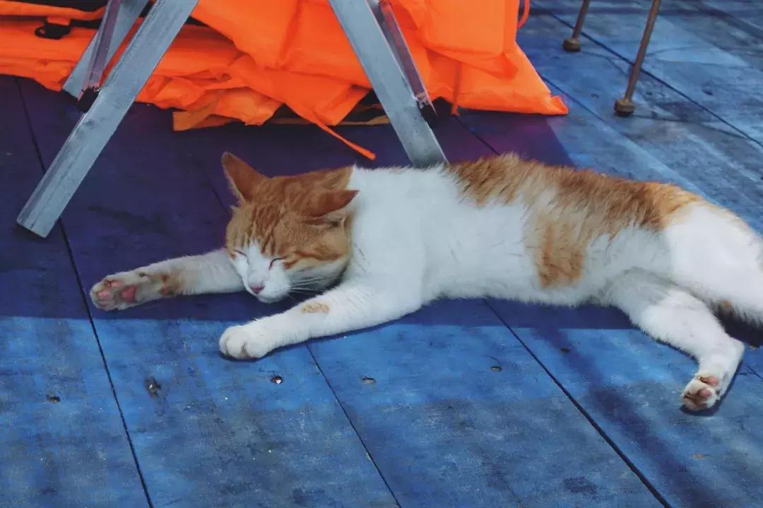 东山岛像浪漫的土耳其,东山岛在哪吃海鲜便宜又新鲜