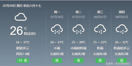 下雨后果园怎么防病虫害,雨季果树怎么防治病害