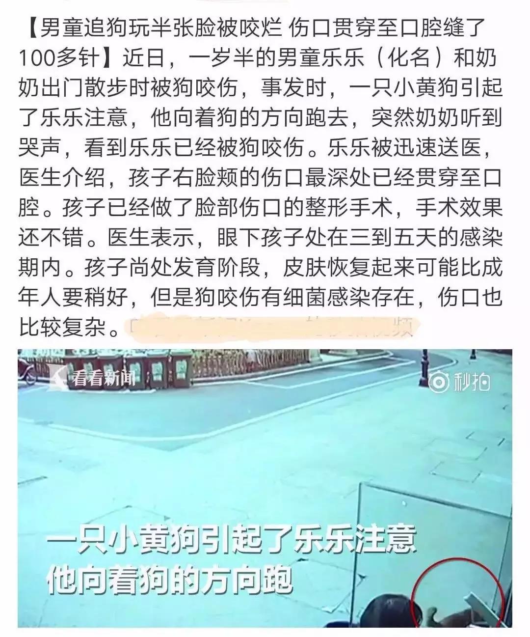 被狗紧咬怎么办,被狗咬住怎样才能挣脱