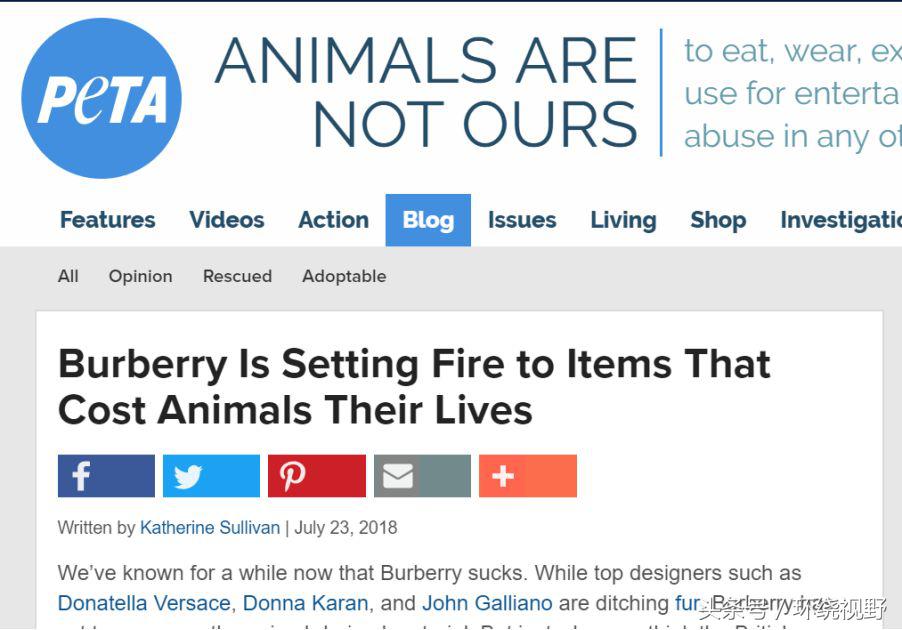 burberry巴宝莉顶级奢侈品 (巴宝莉与burberry)