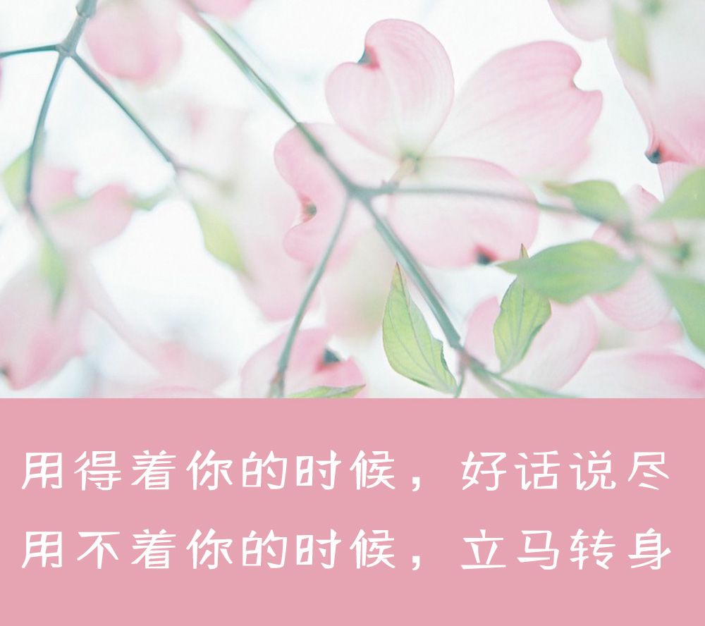 聪明人不交朋友的三个表现,聪明人不与这三种人深交