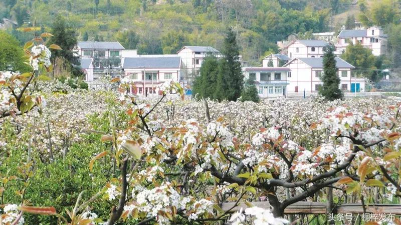 贵州桐梓县好玩的,好玩的地方桐梓