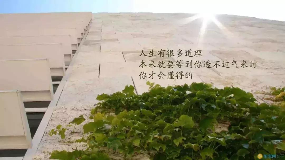 商机就在自己身边,什么是商机别人在行动你还在观望