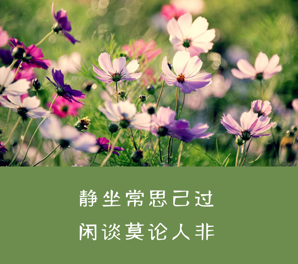 聪明人不交朋友的三个表现,聪明人不与这三种人深交