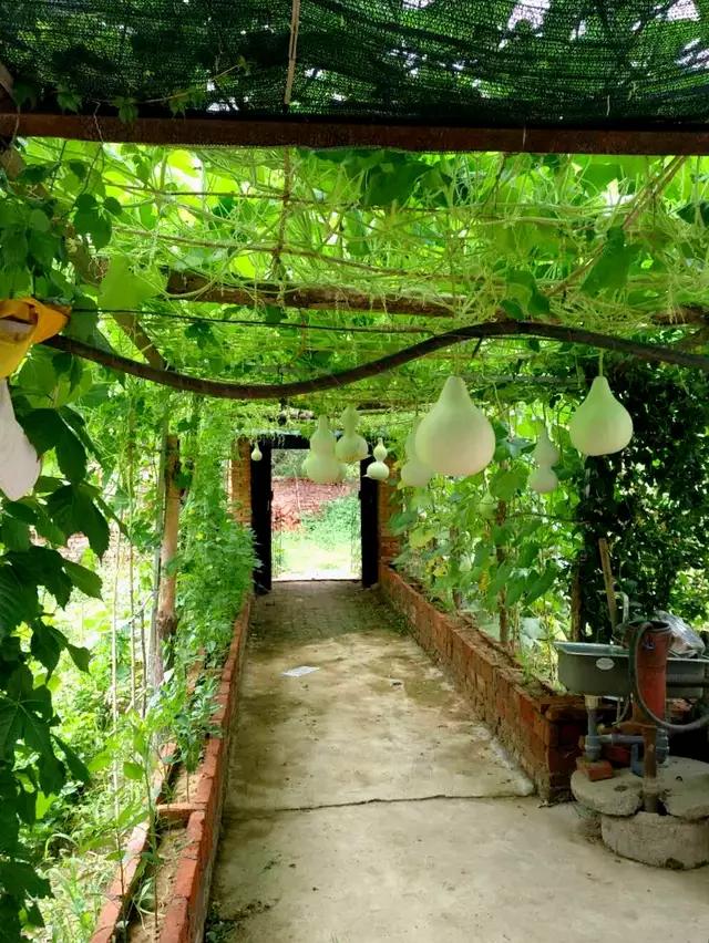 有关溽暑的诗词,原创诗词溽暑天净沙