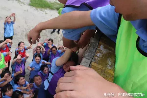 鎴愰兘鍥介檯鏁欒偛鏈烘瀯,鍥介檯鏁欒偛鏈烘瀯