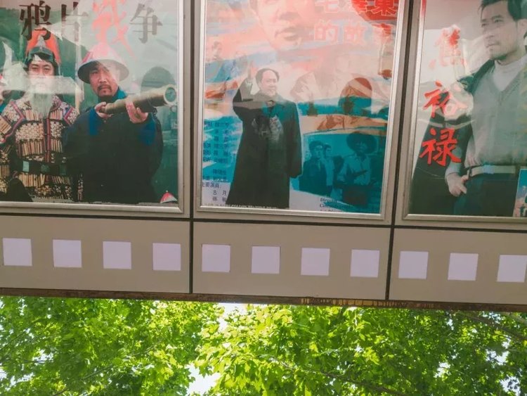 成都冷知识100例,成都冷知识20条