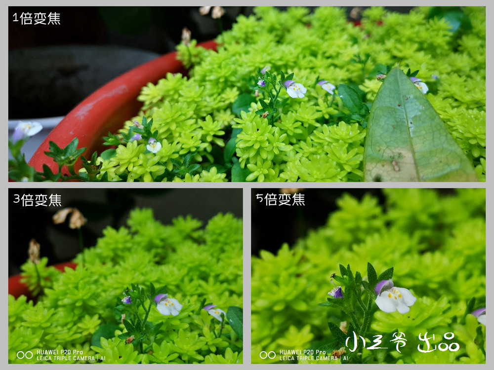 华为p20和nova5pro哪个值得入手,华为p20和p20pro拍照对比