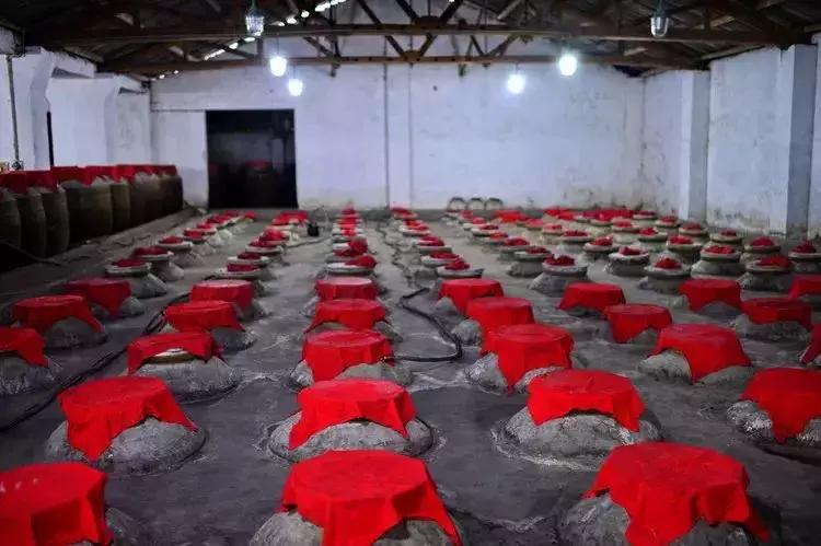 离乐山比较近的风景区,离乐山最近的古镇