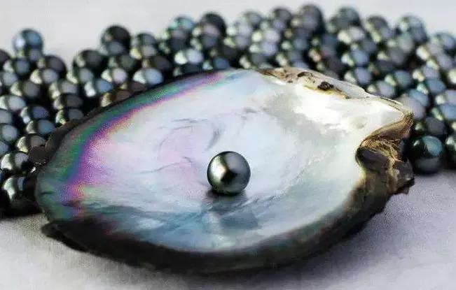 「小火说」弄不懂这些你还敢收藏珍珠（一）