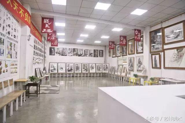 北京栾树画室基础教学,北京栾树画室坑人