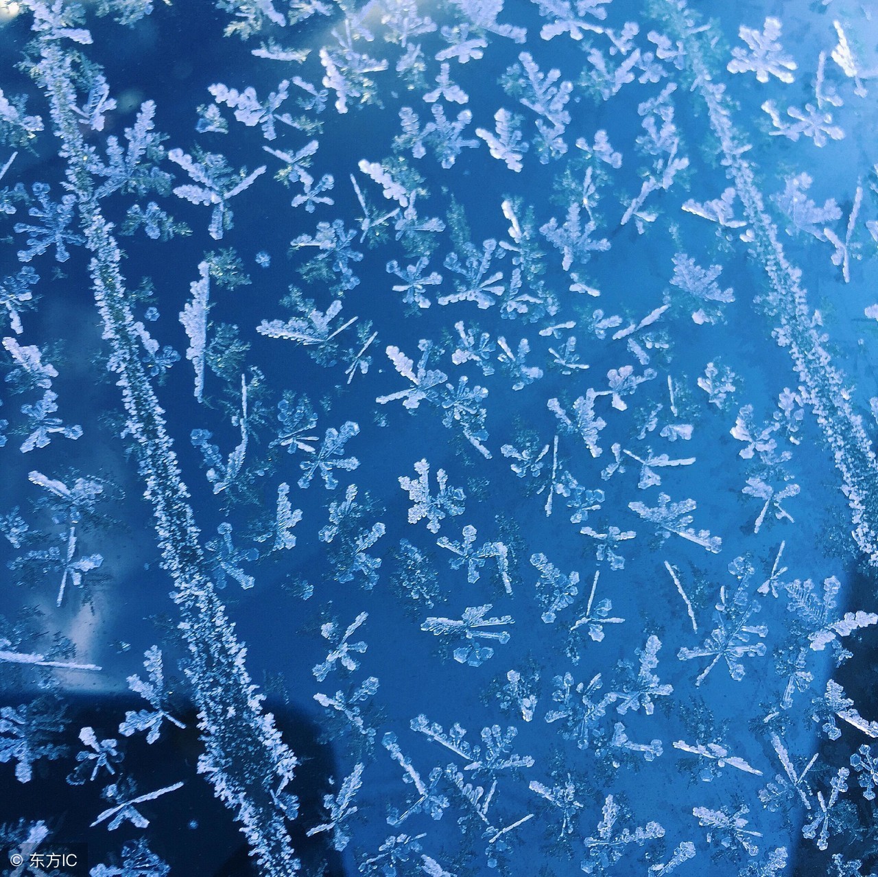 速冻水饺破了怎么做,怎样解决速冻饺子开裂的问题