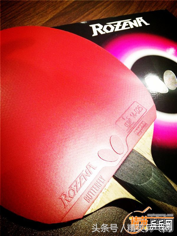 蝴蝶rozena套胶评测,蝴蝶rozena配什么套胶