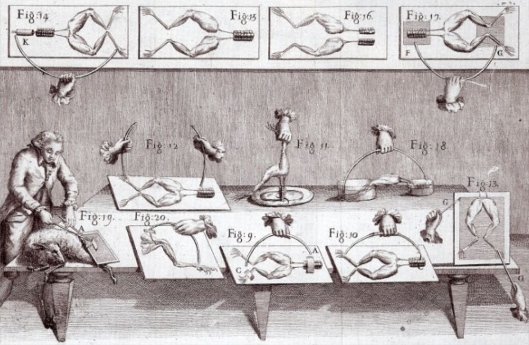 skr高科技有多厉害 (skr到底有多厉害)