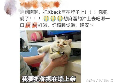 朱正廷蔡徐坤超甜对视害羞,朱正廷蔡徐坤高甜瞬间