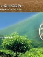 大益普洱茶砖勐海茶厂,90年代普洱茶熟茶的历史