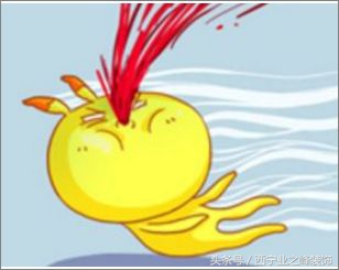 “帮我砍一刀”!几百块的进口品牌电视、最新款手机?