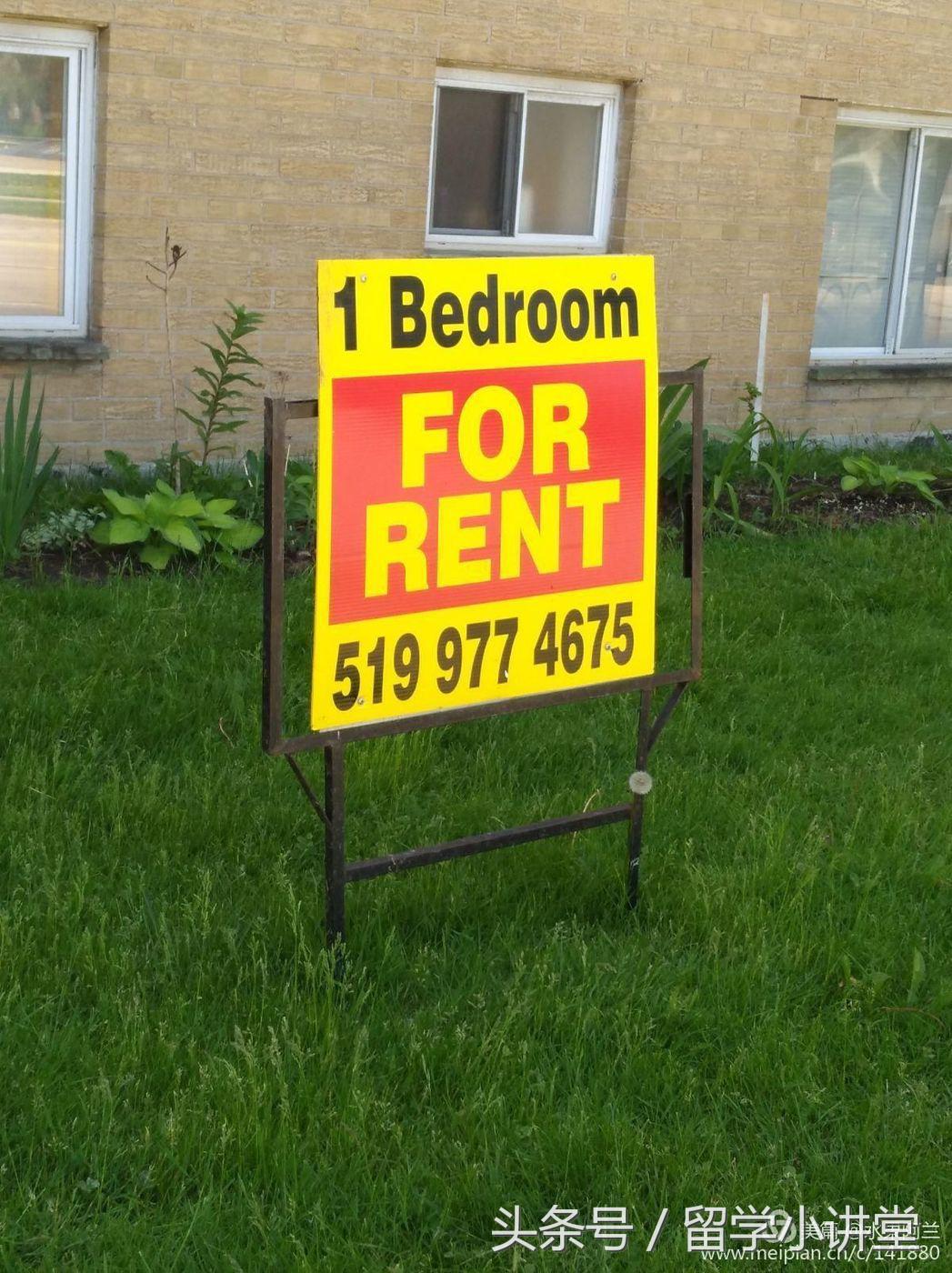 在加拿大生活真的非常舒服,加拿大纳奈莫生活体验