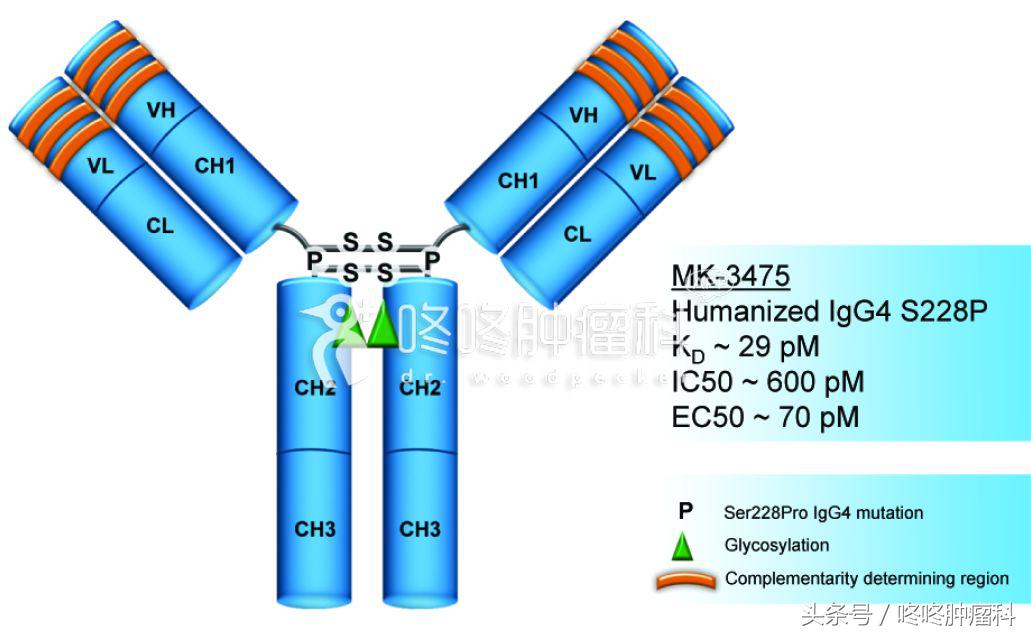 抗癌新药pd-1研制成功,抗癌新药pd1中文名字