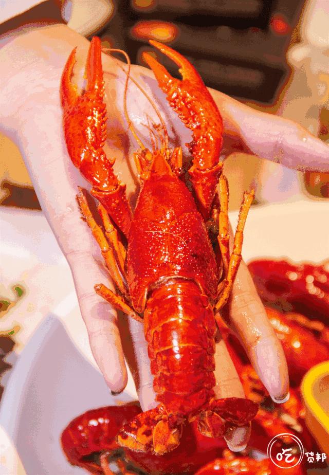 送花甲/小龙虾!还有岳阳姜辣菜助阵,这家小龙虾音乐剧演的不错