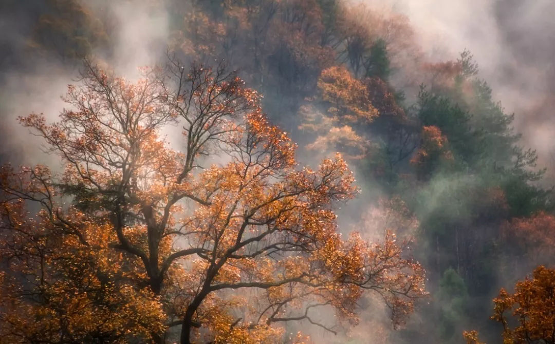 杭州第二酒店,杭州临安万豪酒店几星级