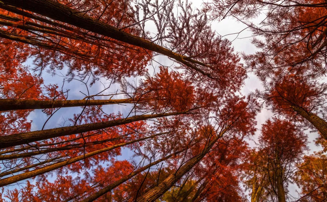 杭州第二酒店,杭州临安万豪酒店几星级