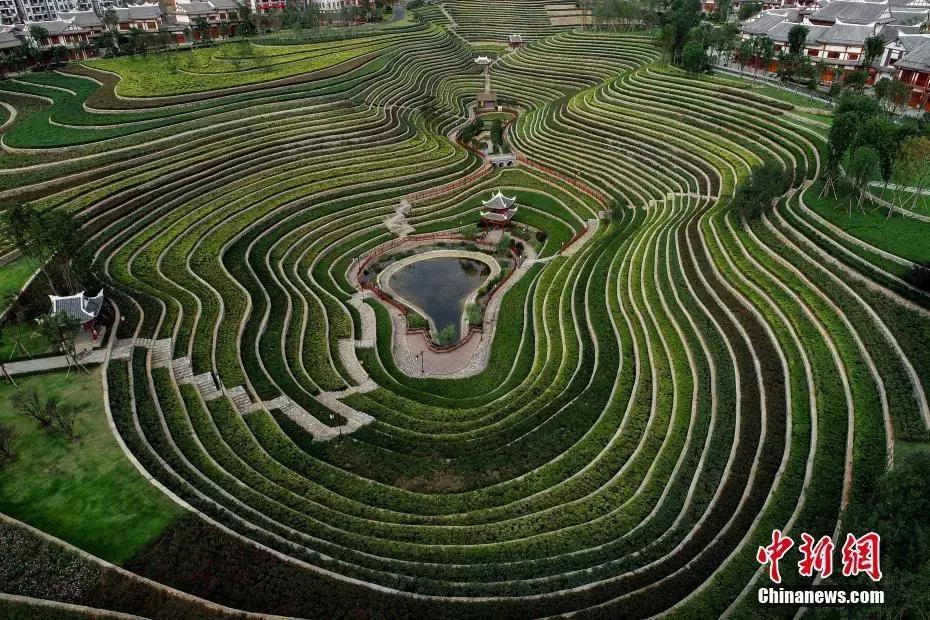 安慰女朋友心情低落诗词,写心情郁闷低落的诗词