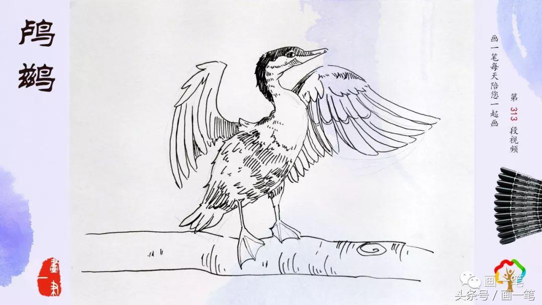 鸬鹚的国画画法,鸬鹚怎么画