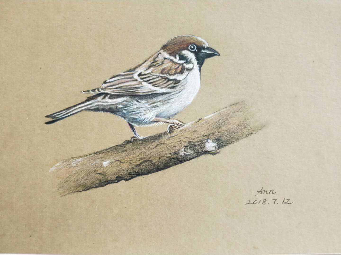 幸福画吧7月份作品,幸福原创绘画作品欣赏