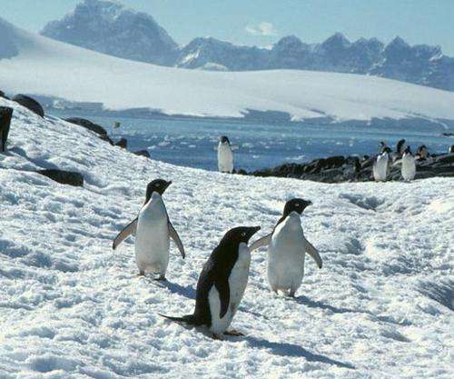 诺坎普球场的较量大空翼,诺坎普球场对战